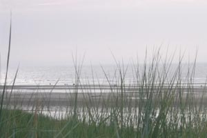 De duinen van het eiland Goeree Overflakkee