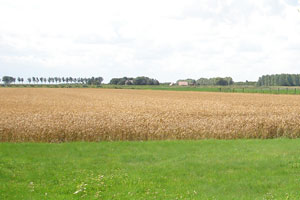 Uitzicht vanuit de wei waar u heerlijk kunt uitrusten op een stil plekje