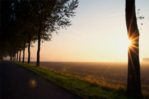 Vele mooie weggetjes rond Oude-Tonge, heerlijk om te fietsen, skaten of wandelen. Foto(c)Suus Jongejan