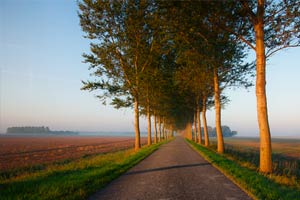 Landweggetje op het platteland van Goeree Overflakkee. Foto(c)Suus Jongejan