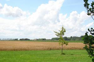 Uitzicht vanuit de wei van ‘Landelijk Logeren’