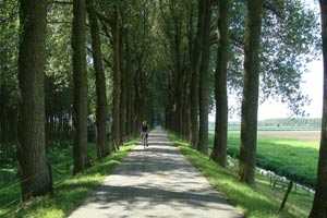 Het eiland leent zich goed voor mooie fietstochten , langs de mooie akkers en over de dijken langs het water. Foto(c)Suus Jongejan