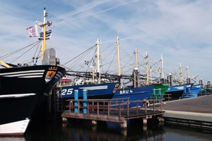 Mosselvissersboten liggen in de haven van Bruinisse